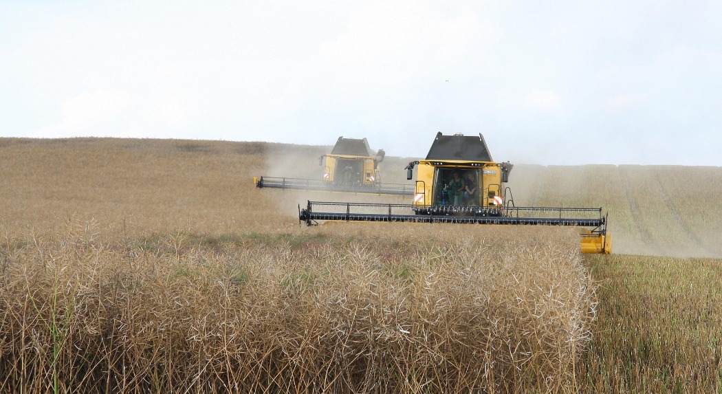 Feldman Zsolt: fontos cél a mezőgazdaságban és az élelmiszeriparban a digitális átállás ösztönzése