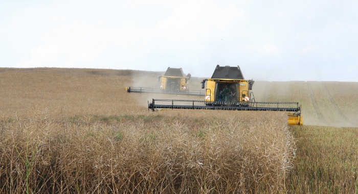 Feldman Zsolt: fontos cél a mezőgazdaságban és az élelmiszeriparban a digitális átállás ösztönzése
