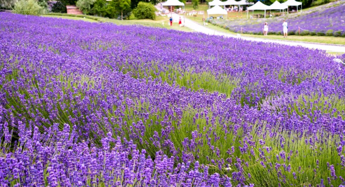 Oktatási Hivatal: új digitális tananyag készült Magyarország nagy tájairól, a videókat a közmédia is bemutatja