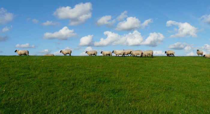 A felhőkről lenézve megszámolja a fűszálakat a farmereket segítő startup